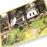 New Elgine - Darjeeling