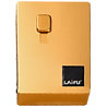 Golden Cigarette Case